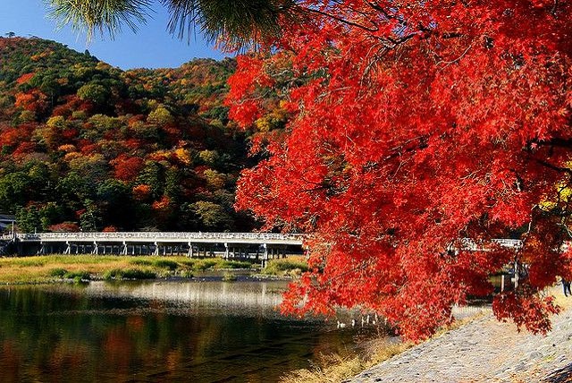 秋は紅葉狩りデート　日本の紅葉の名所