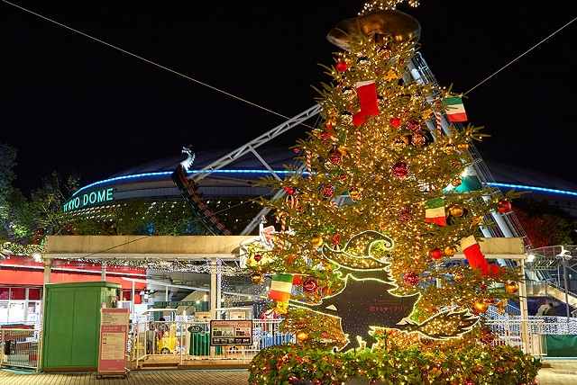 クリスマスのシンボル！　東京のクリスマスツリーを観に行こう！