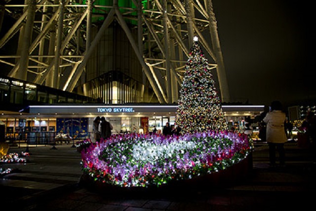 クリスマスのシンボル！　東京のクリスマスツリーを観に行こう！